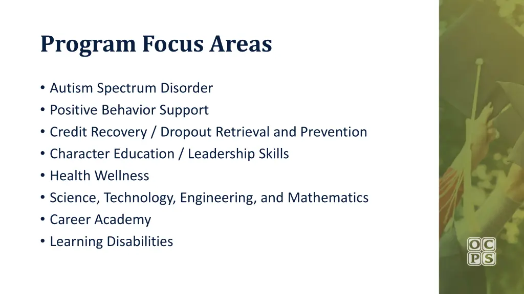 program focus areas