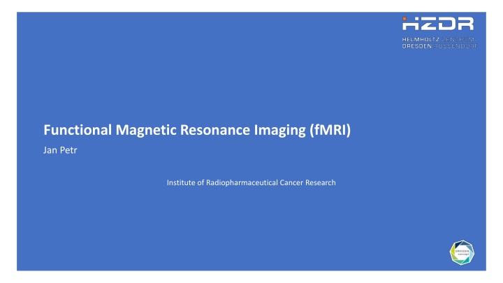 functional magnetic resonance imaging fmri