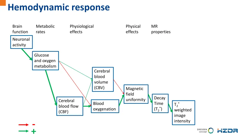 hemodynamic response 1