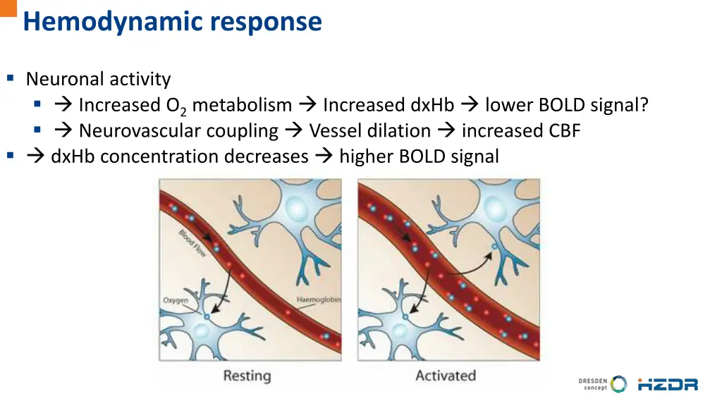 hemodynamic response