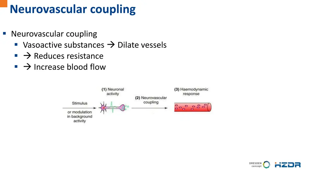 neurovascular coupling