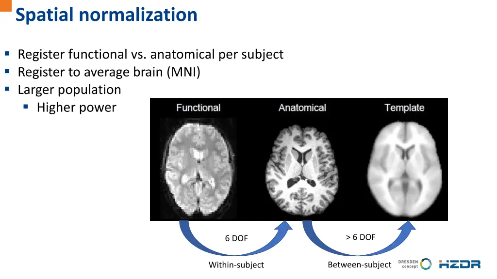 spatial normalization