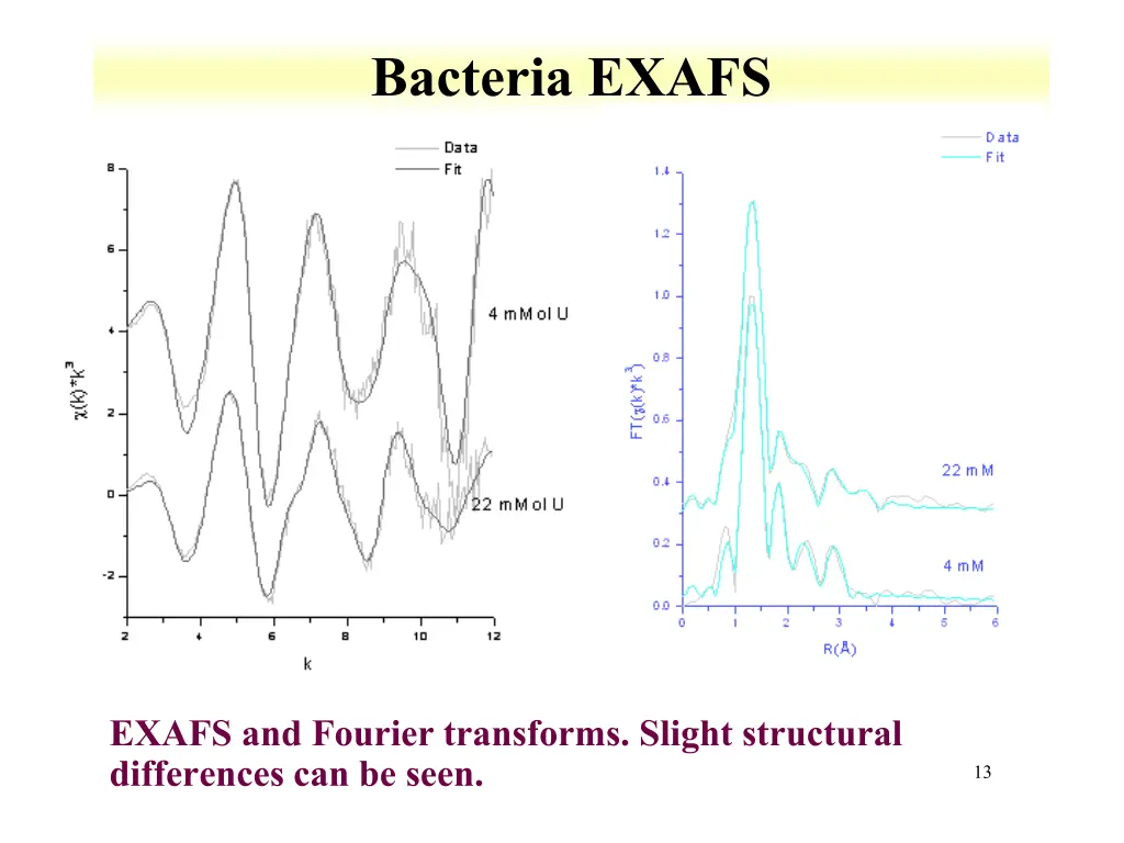 bacteria exafs