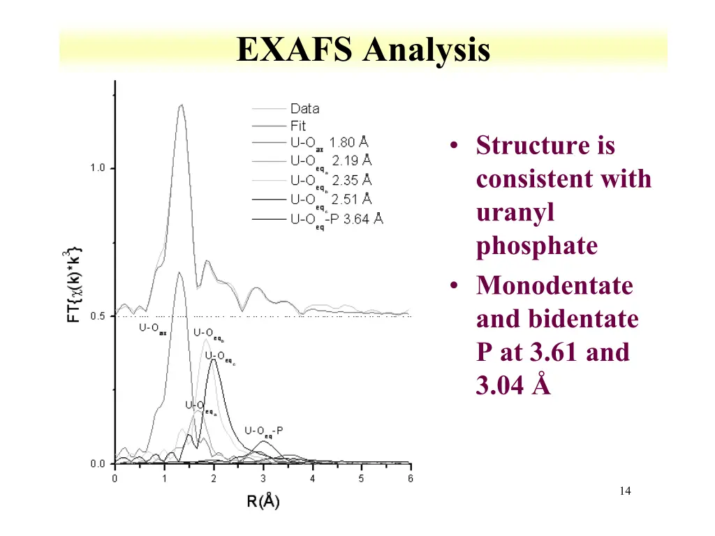exafs analysis