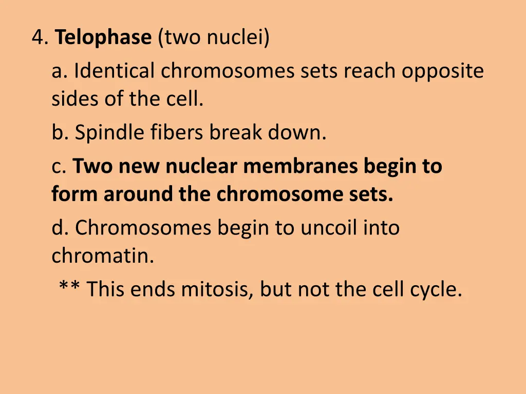 4 telophase two nuclei a identical chromosomes