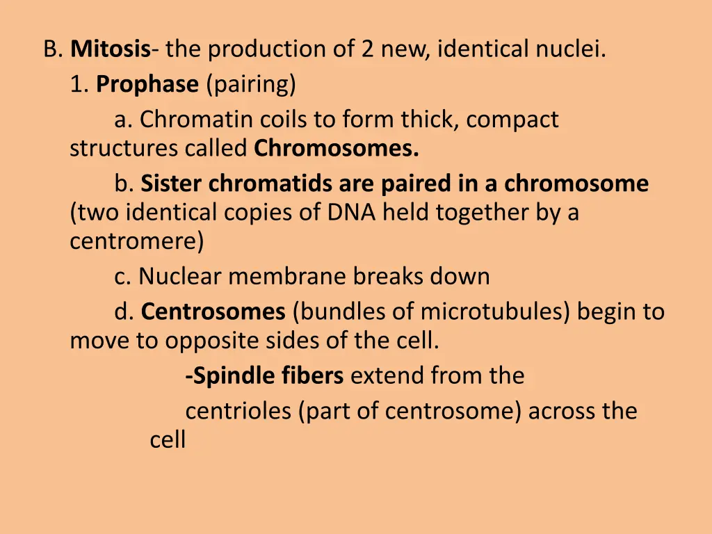 b mitosis the production of 2 new identical