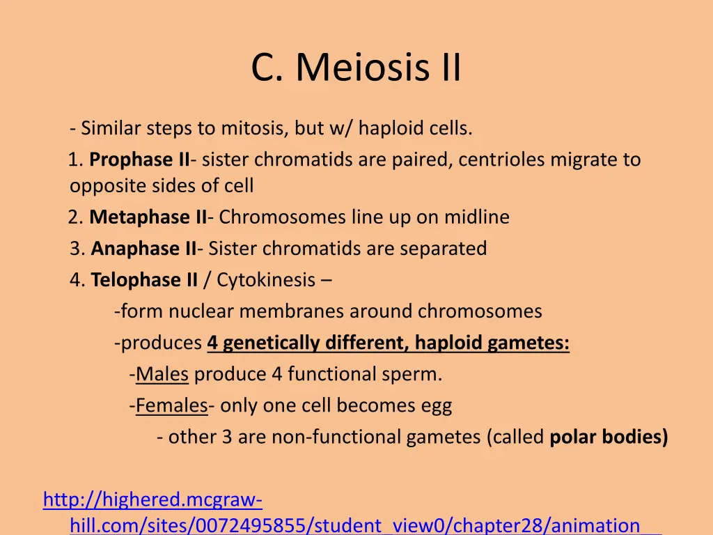 c meiosis ii