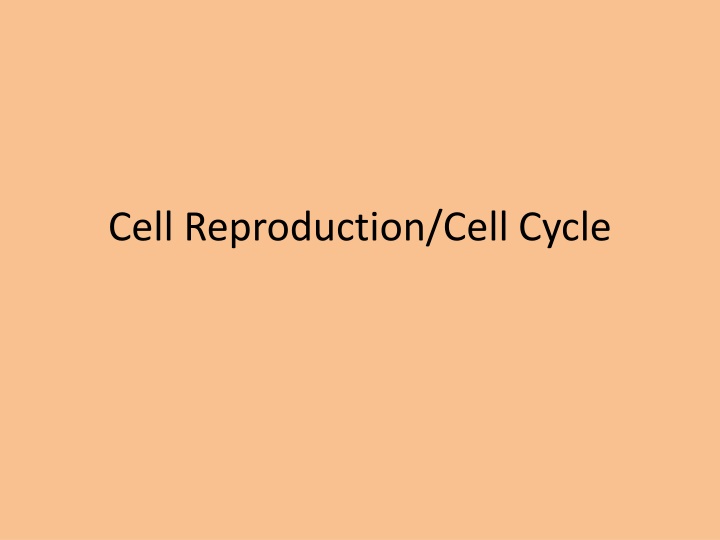 cell reproduction cell cycle