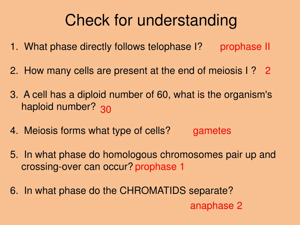 check for understanding