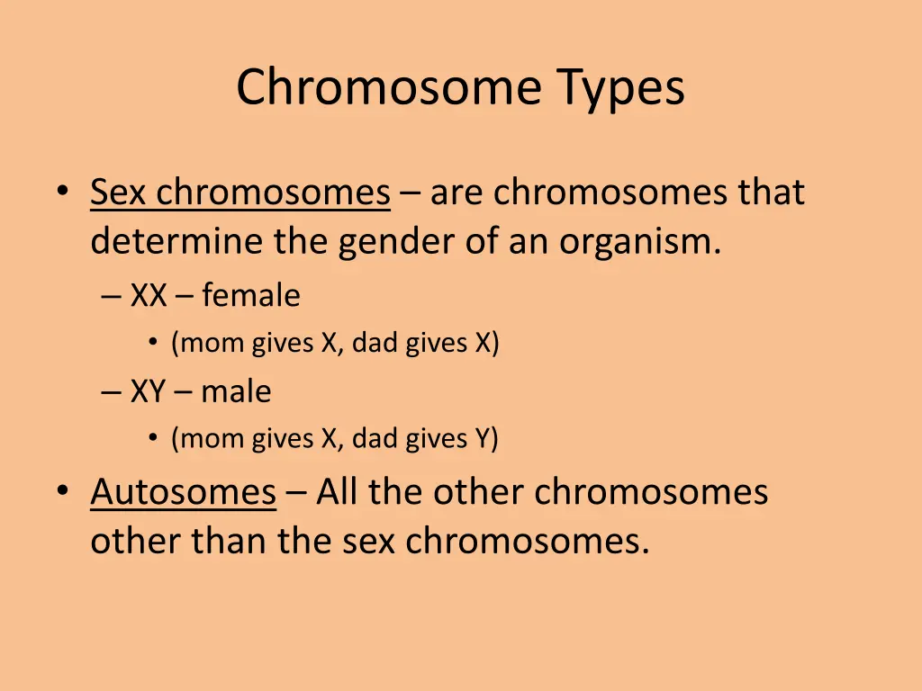 chromosome types