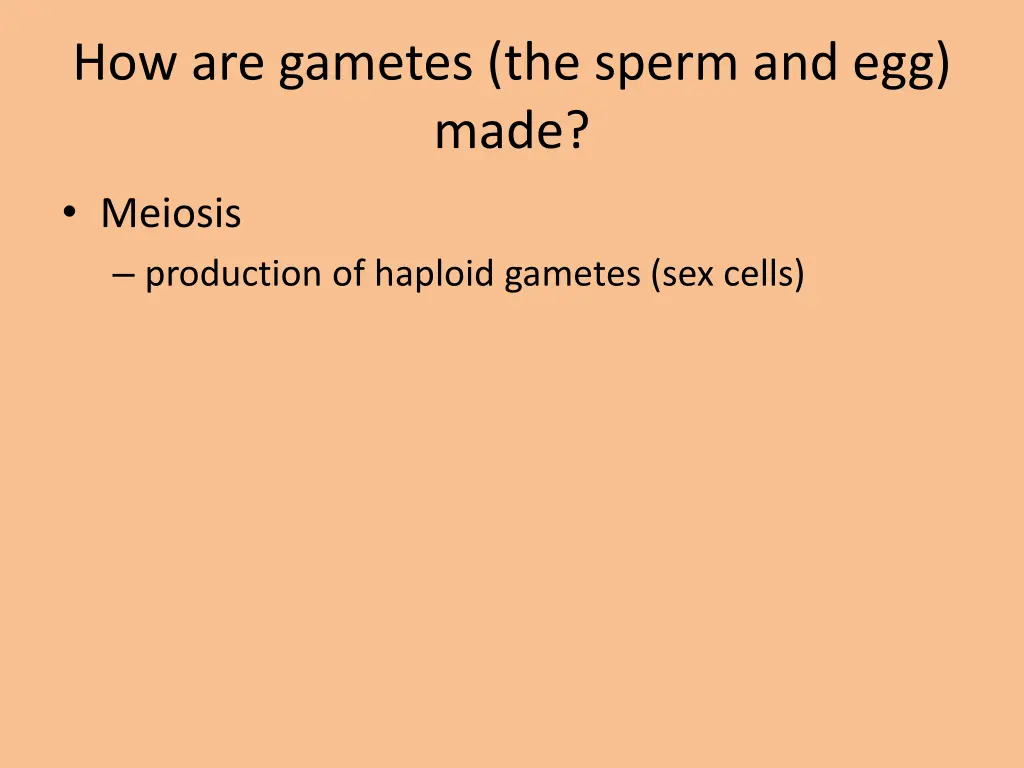 how are gametes the sperm and egg made