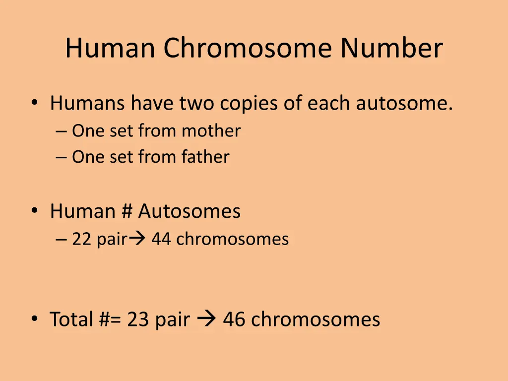 human chromosome number