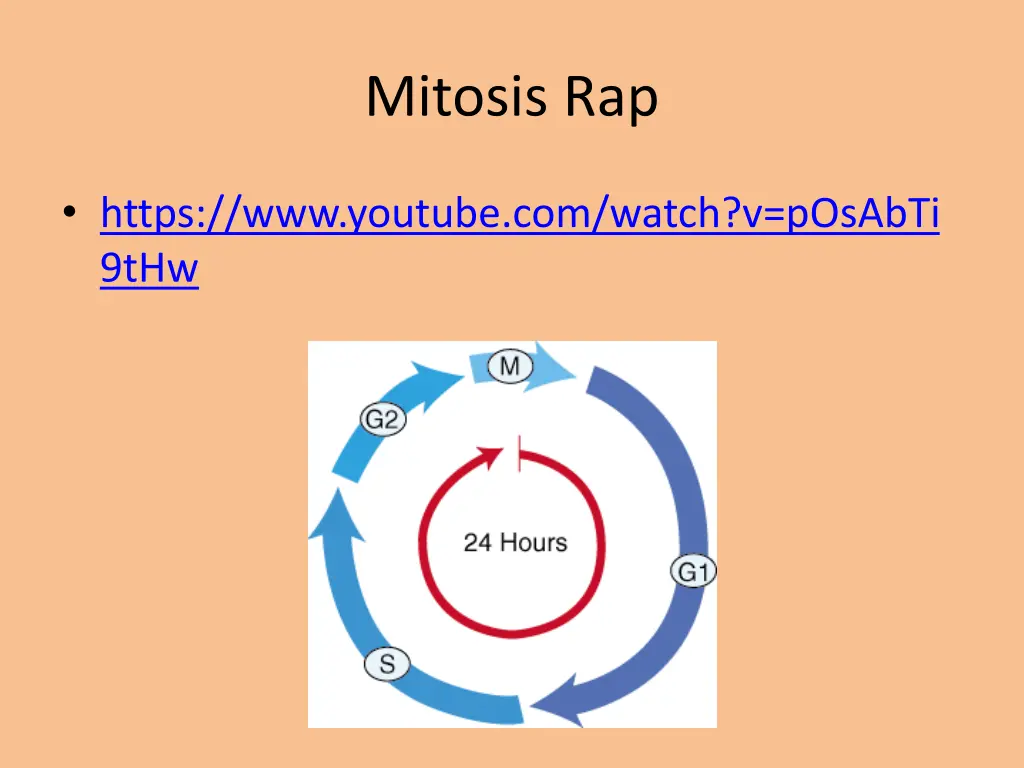 mitosis rap