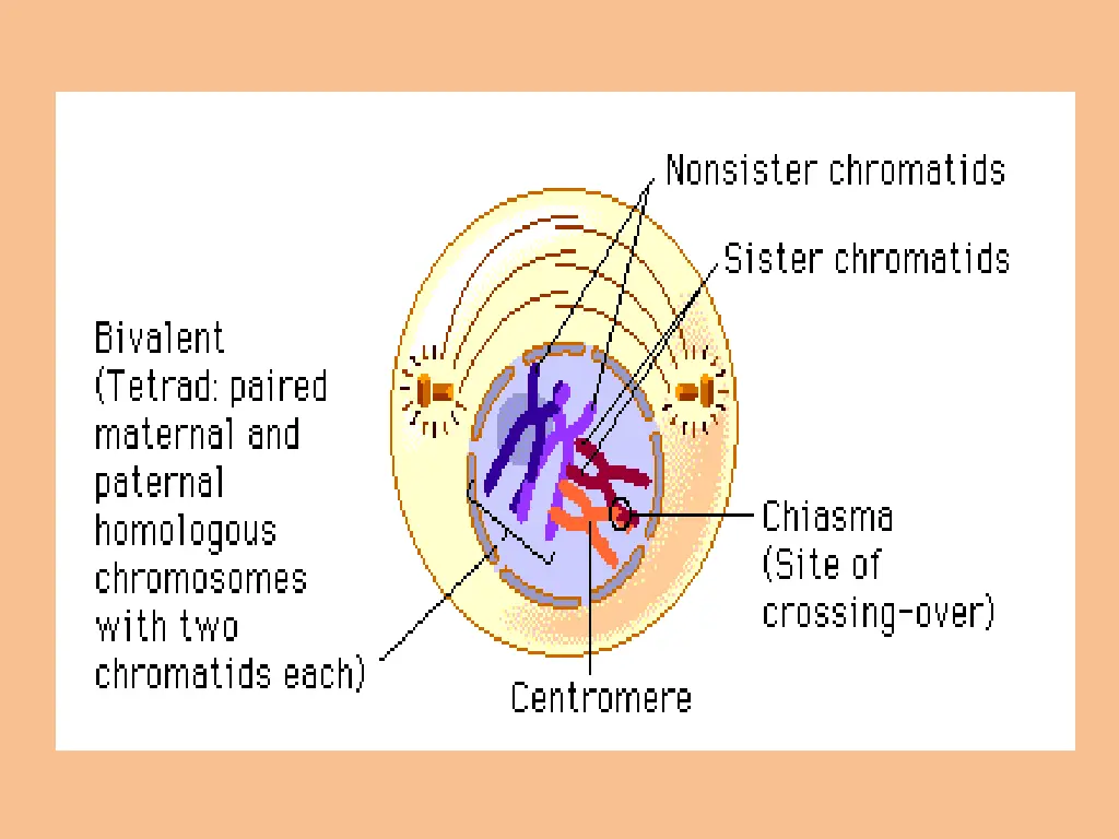 slide39