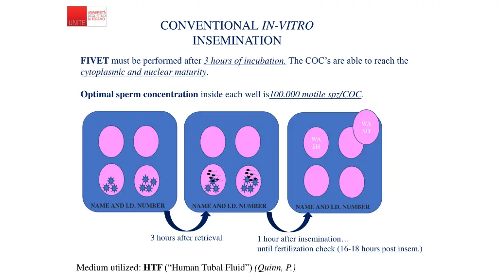 conventional in vitro insemination