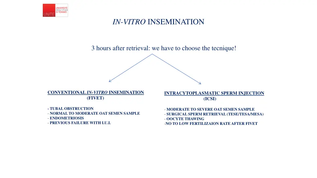 in vitro insemination