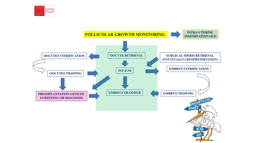 intra uterine insemination iui