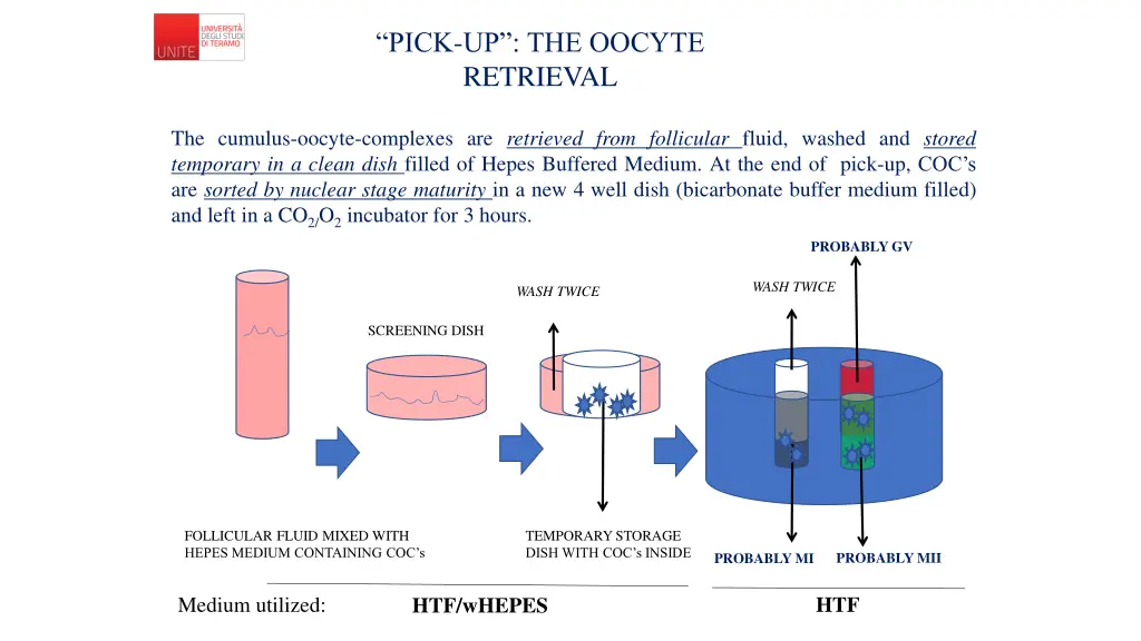 pick up the oocyte retrieval 1