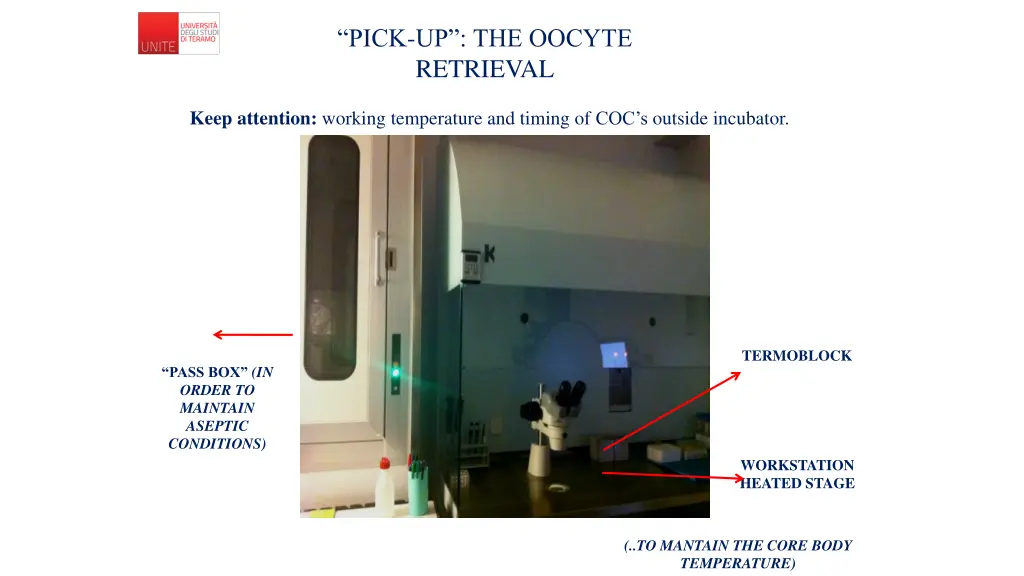 pick up the oocyte retrieval 3