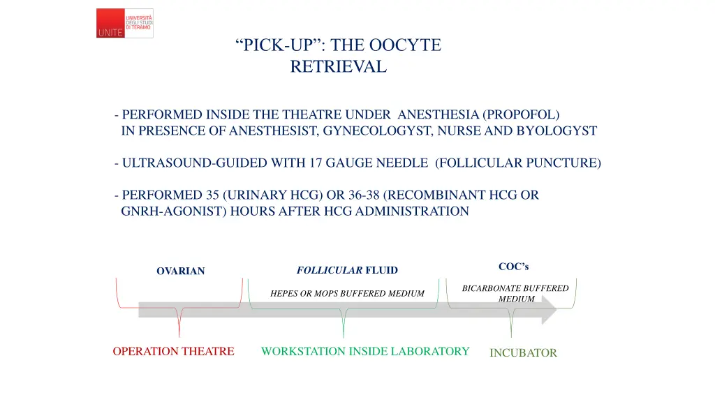 pick up the oocyte retrieval