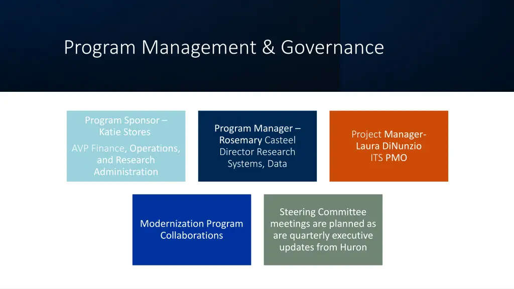 program management governance