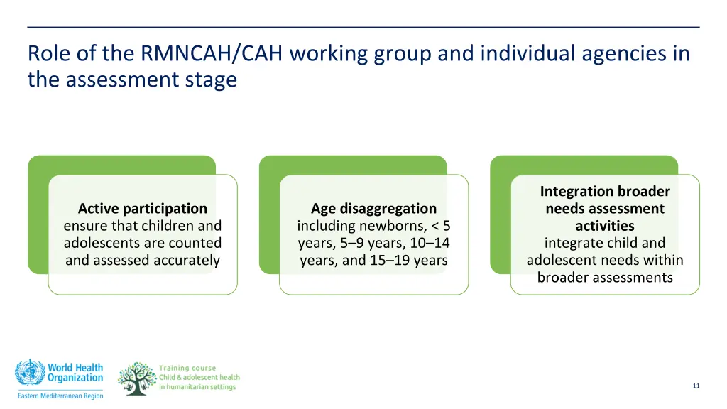 role of the rmncah cah working group