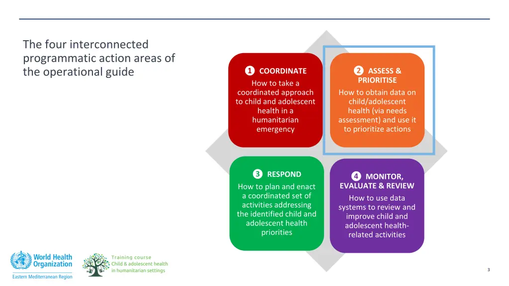 the four interconnected programmatic action areas