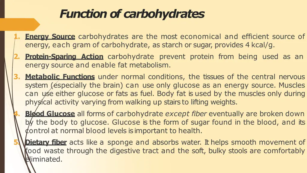 functionof carbohydrates