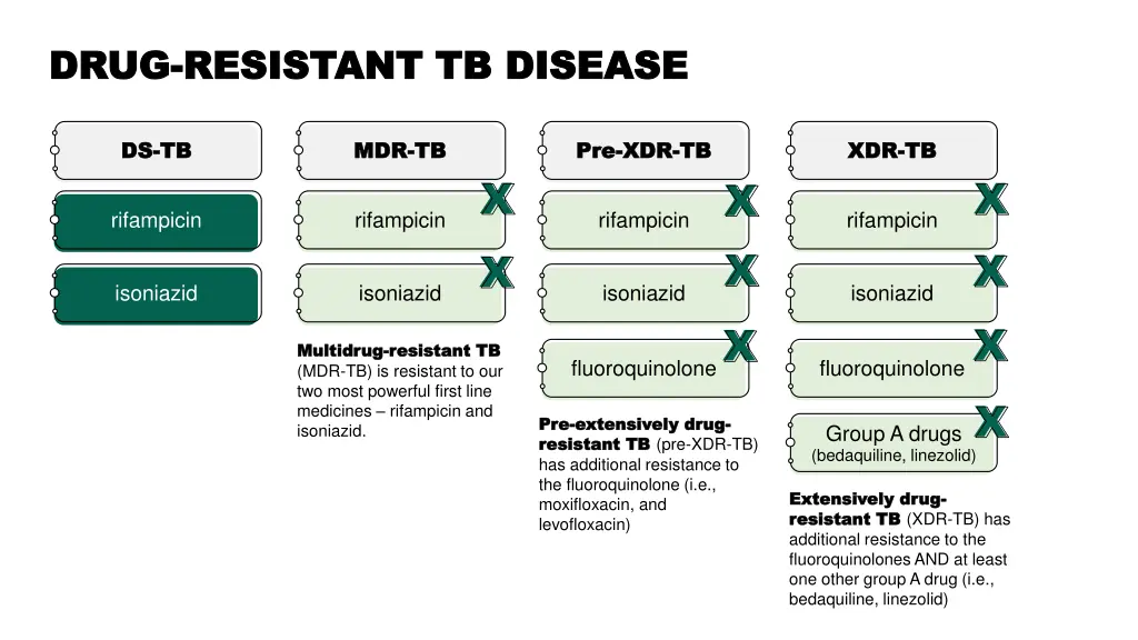 drug drug resistant tb disease resistant