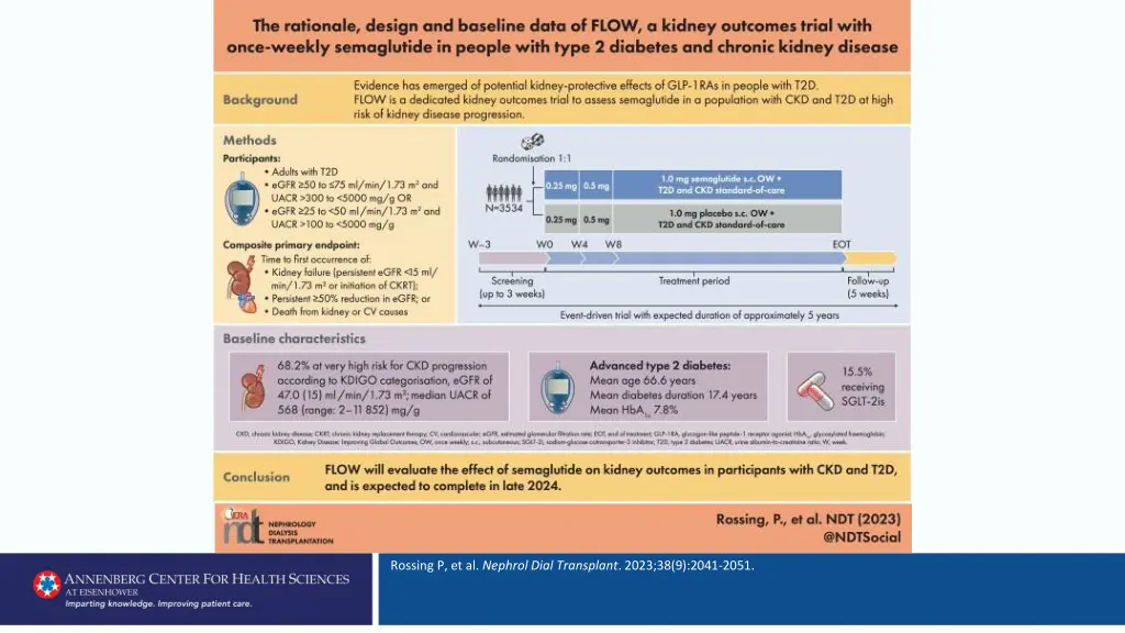 rossing p et al nephrol dial transplant 2023