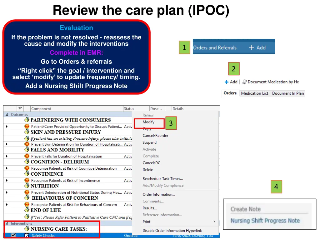 review the care plan ipoc 1