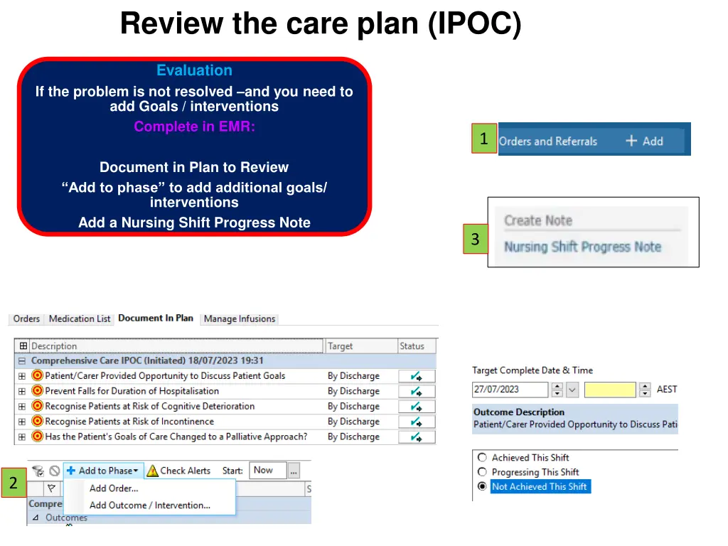 review the care plan ipoc 2