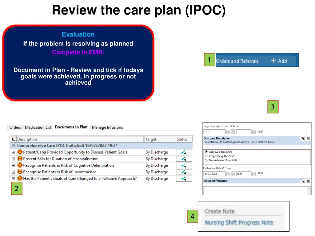 review the care plan ipoc