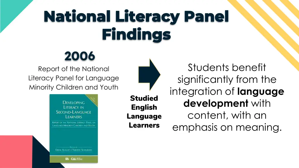 national literacy panel national literacy panel 1