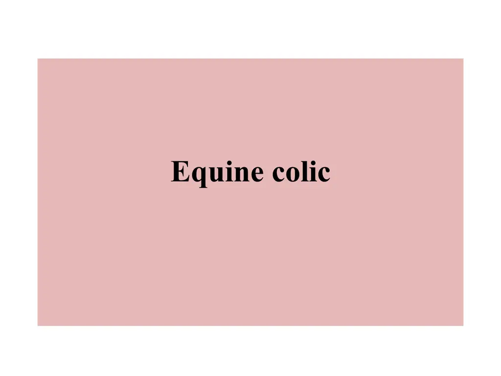 equine colic