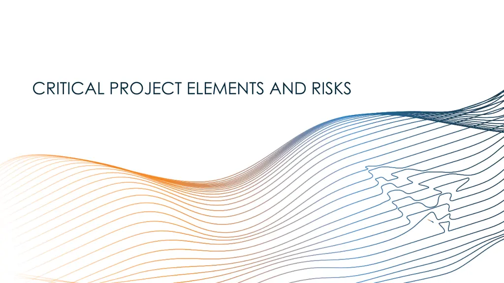 critical project elements and risks