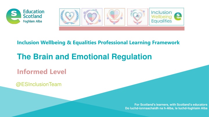 inclusion wellbeing equalities professional