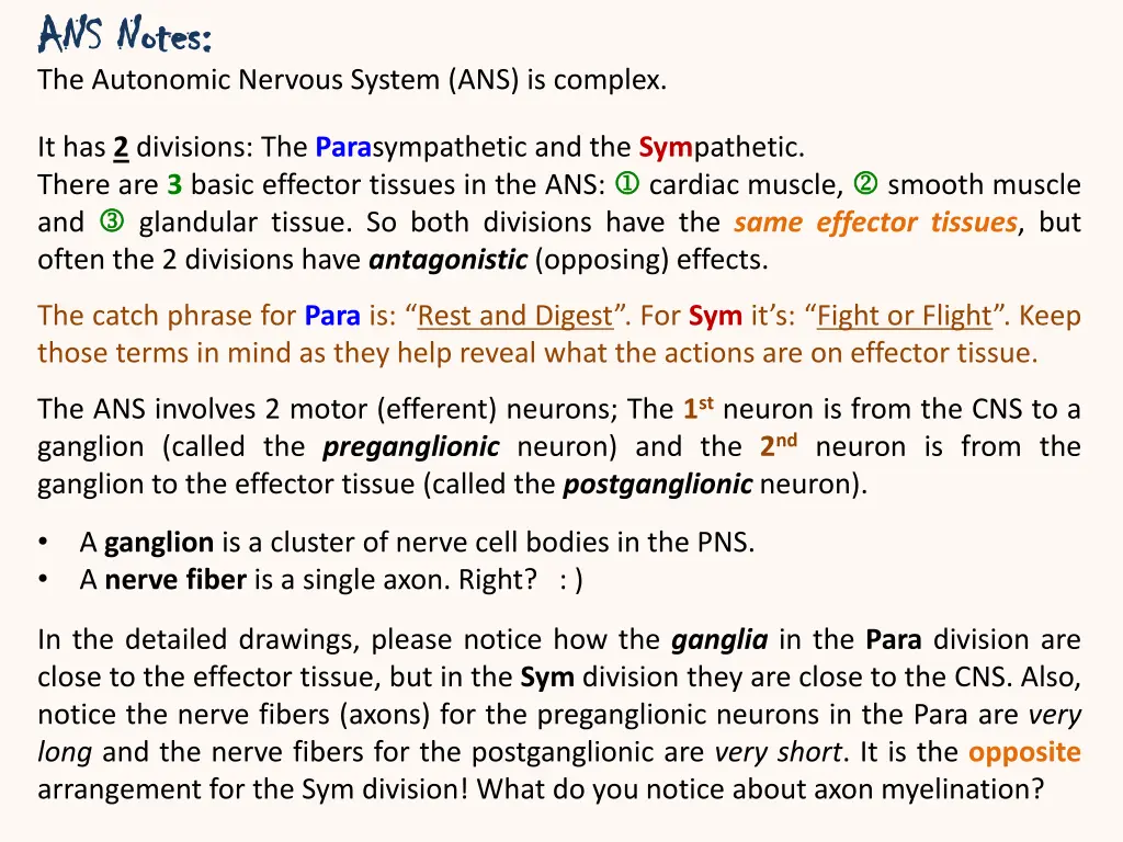 ans notes ans notes the autonomic nervous system