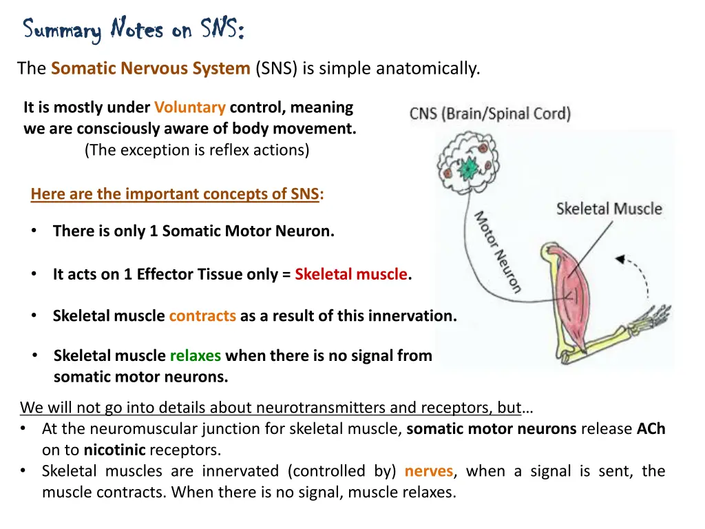 summary notes on sns summary notes on sns