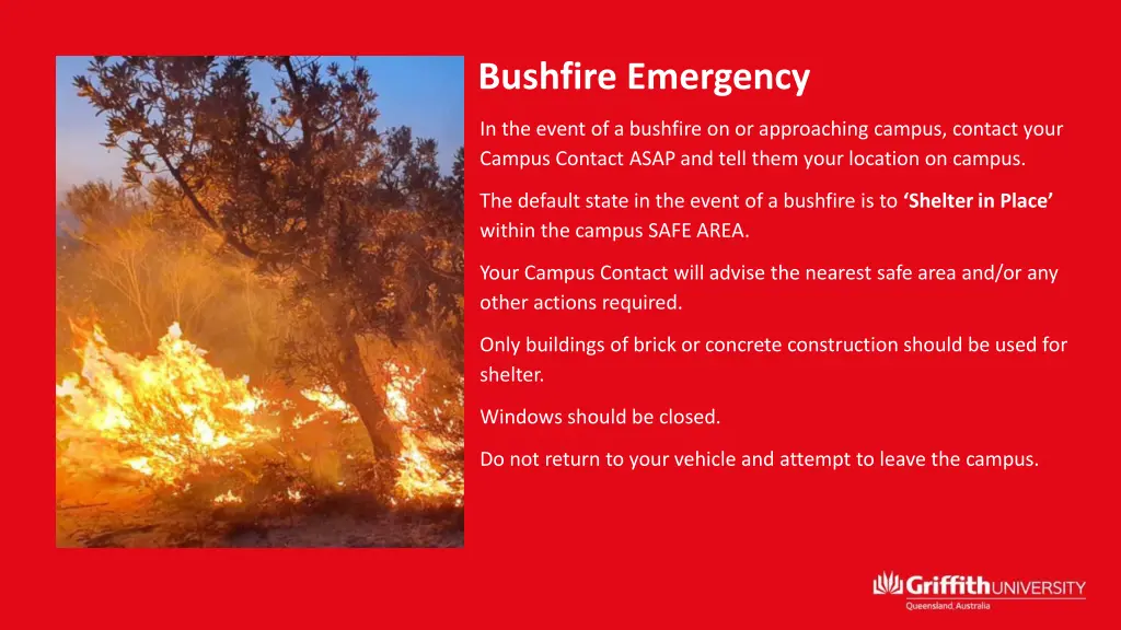 bushfire emergency