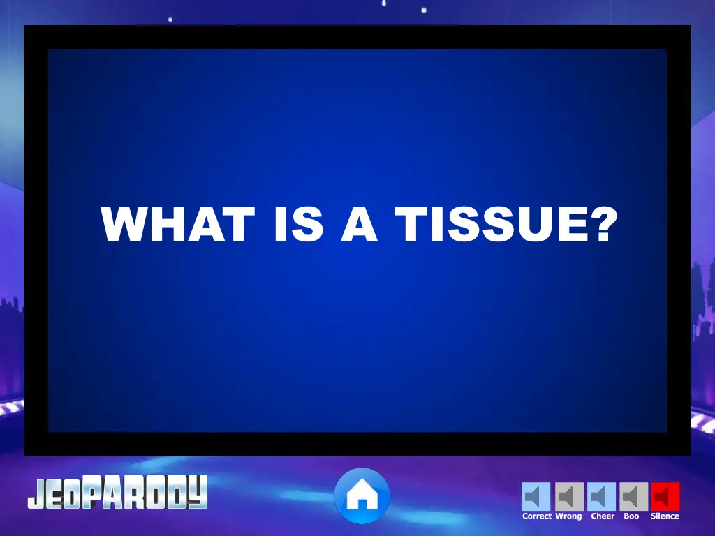 what is a tissue