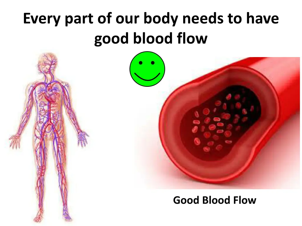 every part of our body needs to have good blood