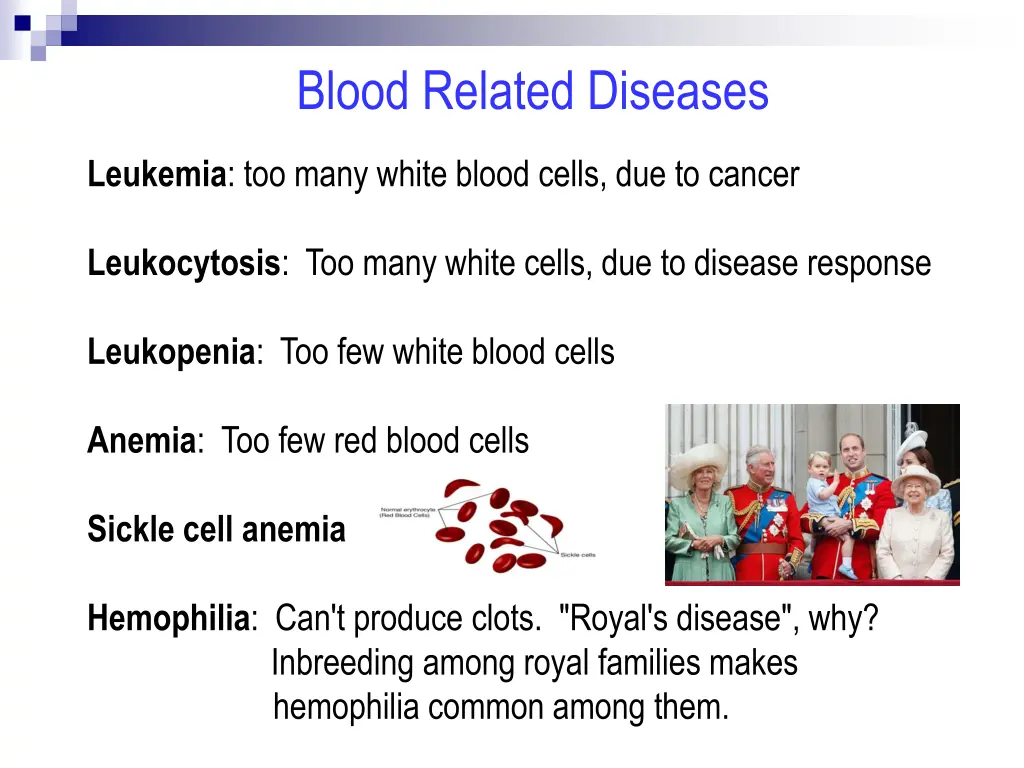 blood related diseases