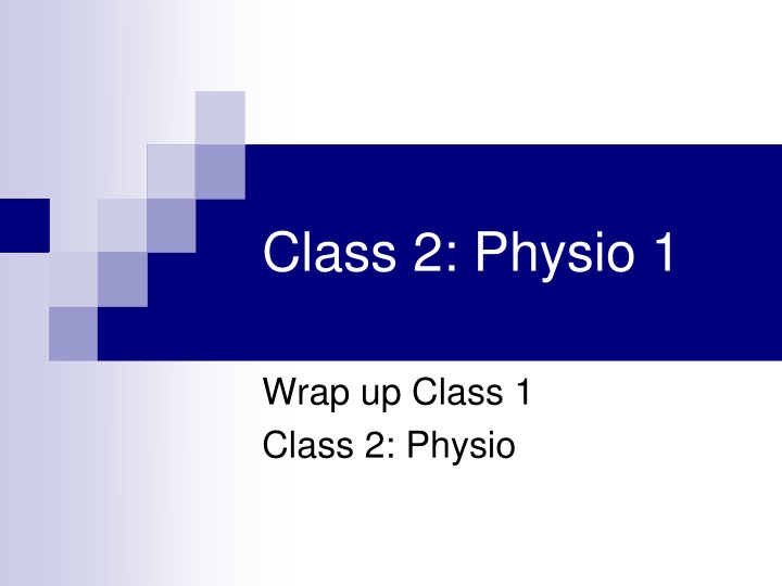 class 2 physio 1