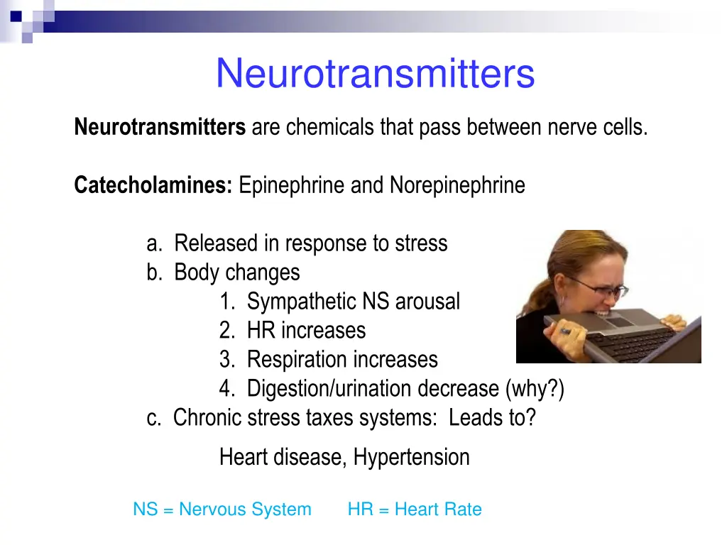 neurotransmitters