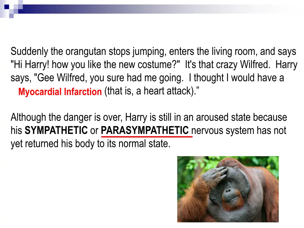 suddenly the orangutan stops jumping enters