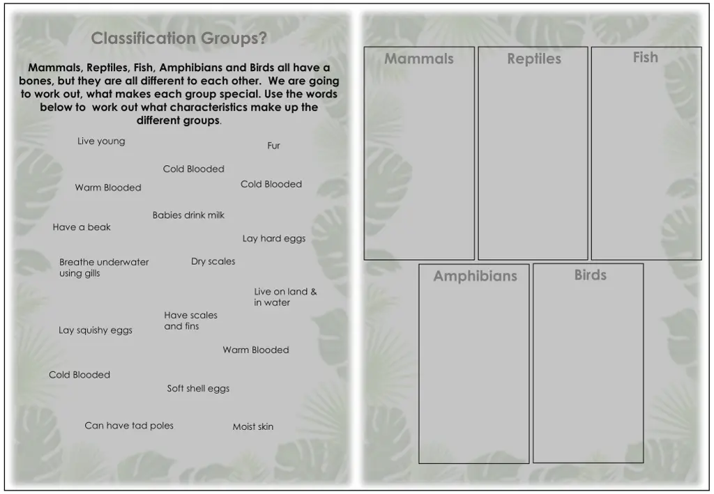 classification groups