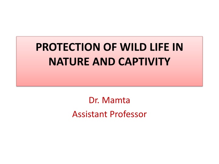 protection of wild life in nature and captivity