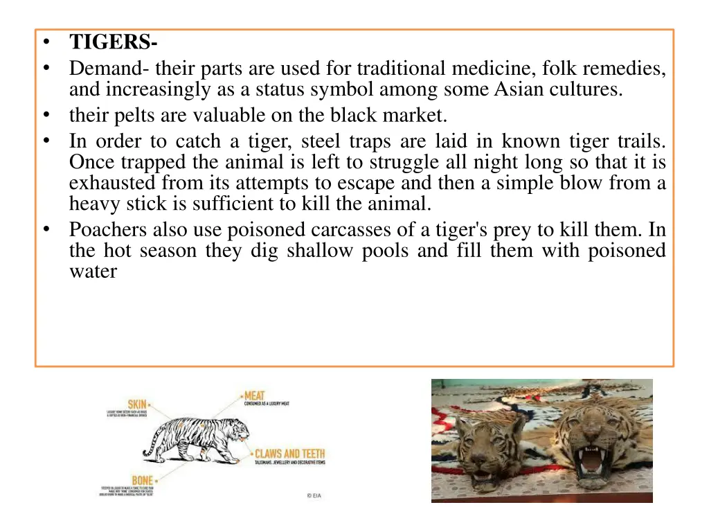 tigers demand their parts are used