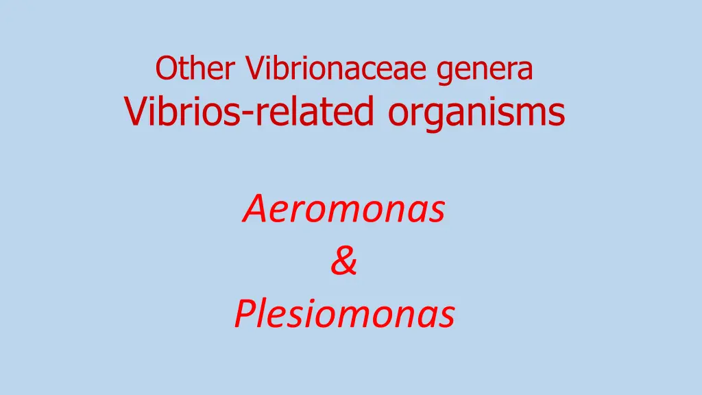 other vibrionaceae genera vibrios related